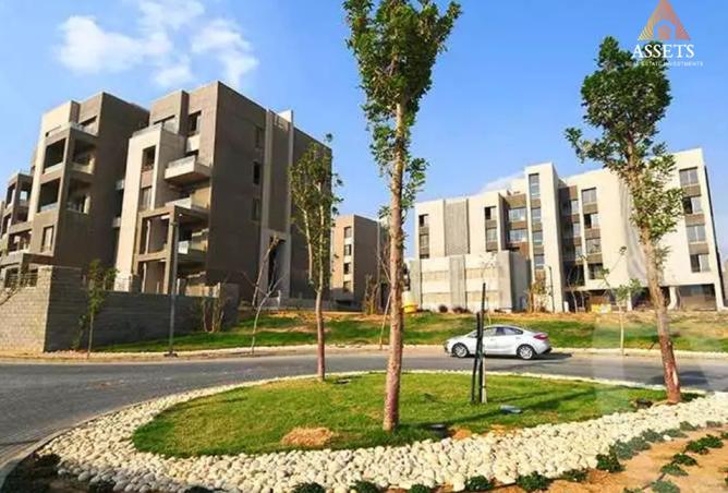 8319305 - الصورة الرئيسية للعقار