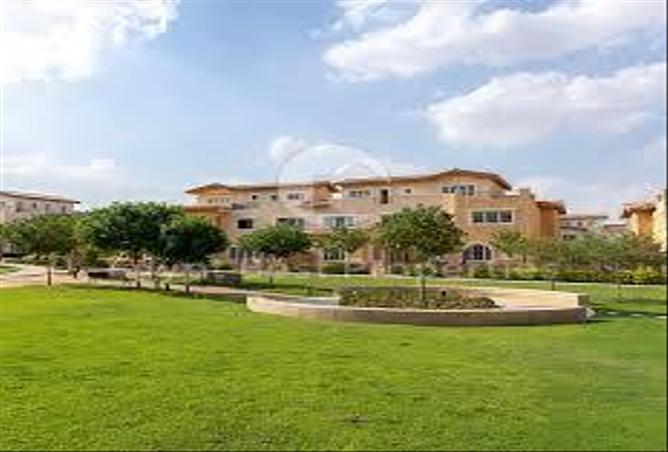 7977308 - صورة العقار 3