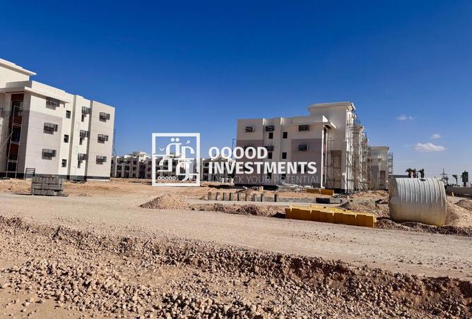 8016215 - Property Image 3