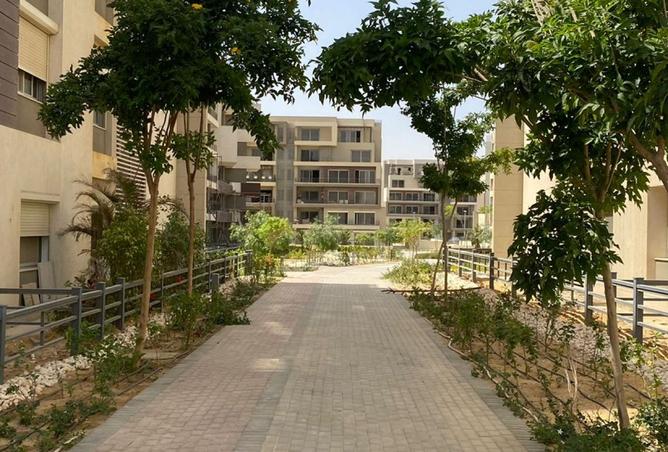 8555679 - Property Image 2