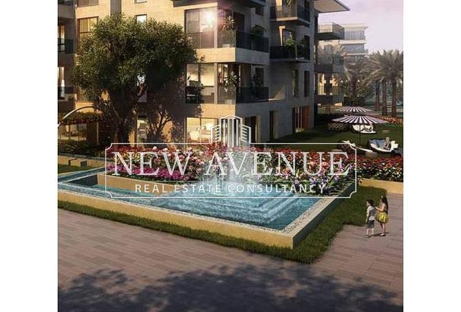 8156430 - Property Image 3