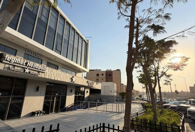 8119683 - Property Image 2