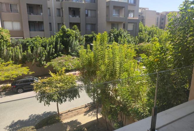 8060577 - صورة العقار 3