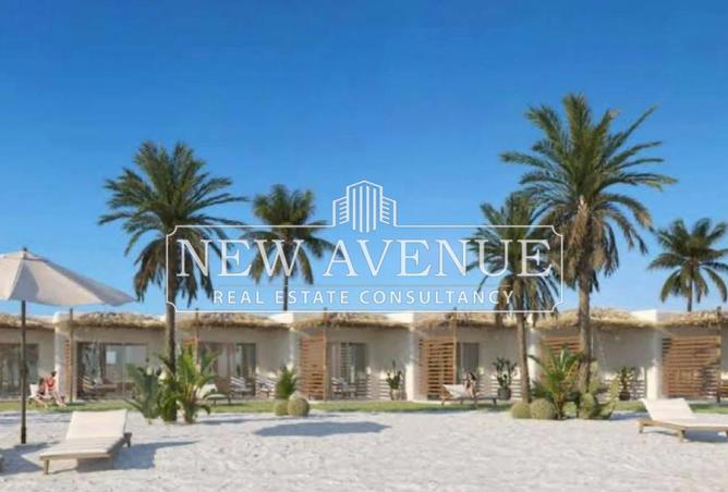 8254129 - Property Image 2