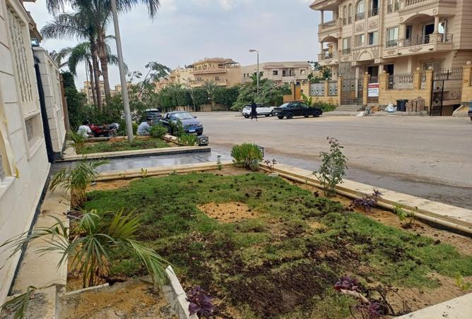 8068646 - صورة العقار 2
