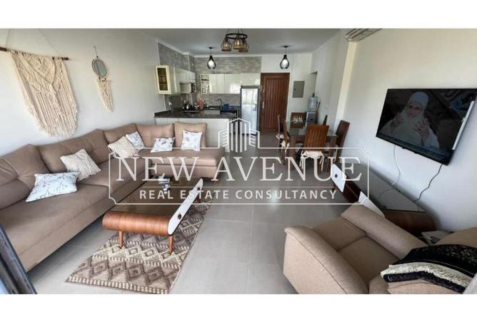 8204722 - Property Image 3