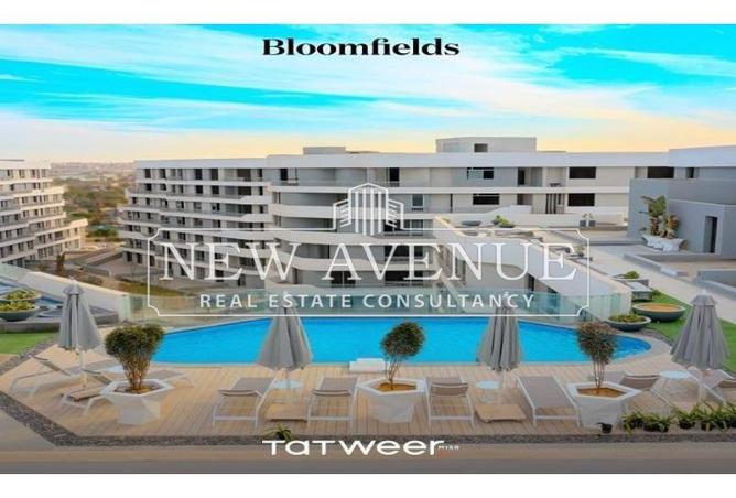 8151773 - Property Image 2