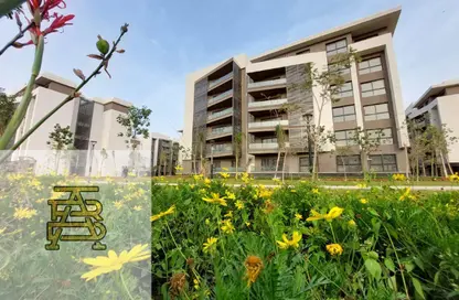 Apartment - 3 Bedrooms - 2 Bathrooms for sale in Madinaty - Cairo