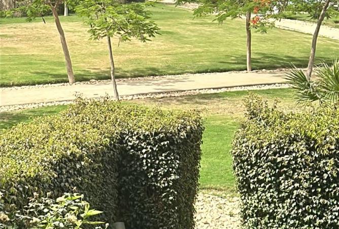 8248436 - صورة العقار 2