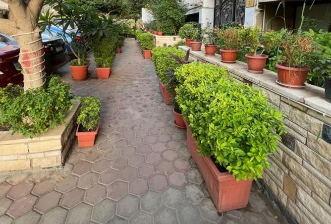 8312696 - صورة العقار 2