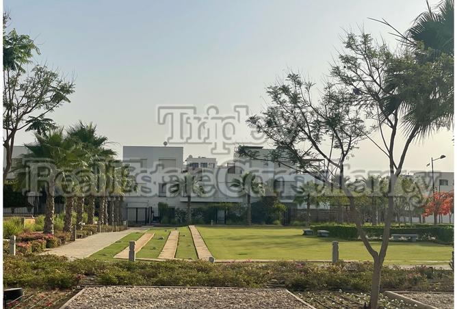 7933185 - صورة العقار 3