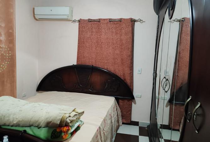 7895841 - Property Image 2