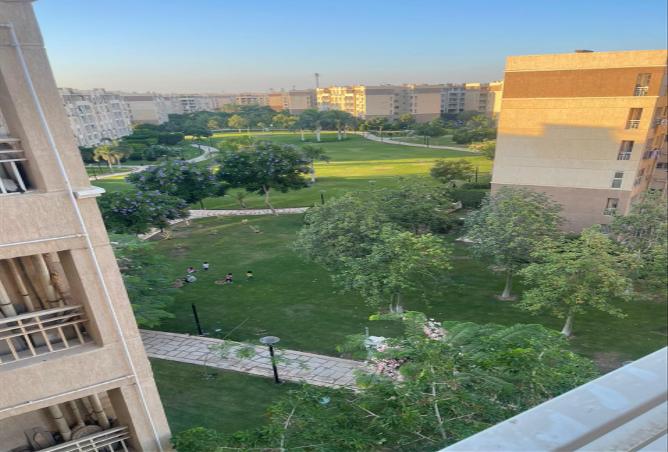 7972714 - صورة العقار 2