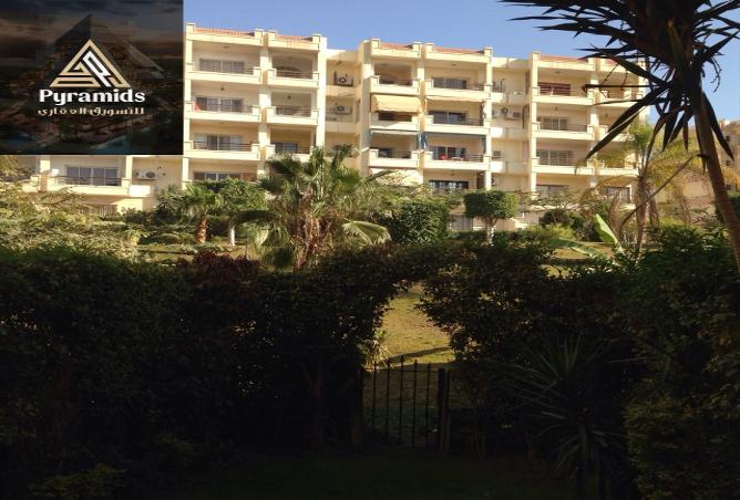 8390461 - Property Image 3