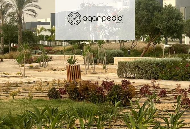 8171639 - Property Image 3