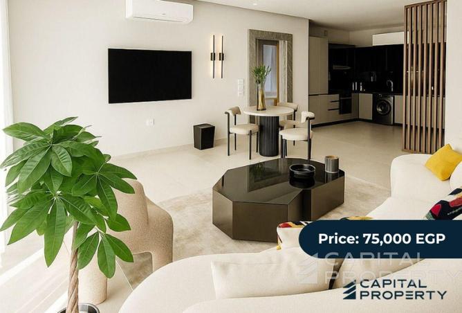 8425430 - Property Image 3