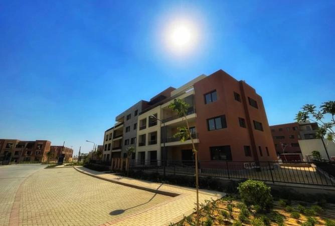 8327407 - صورة العقار 3