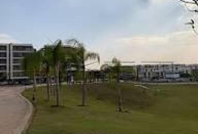 8356625 - صورة العقار 2