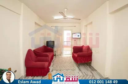 شقة - 2 غرف نوم - 1 حمام للايجار في شارع خالد بن الوليد - سيدي بشر - حي اول المنتزة - الاسكندرية