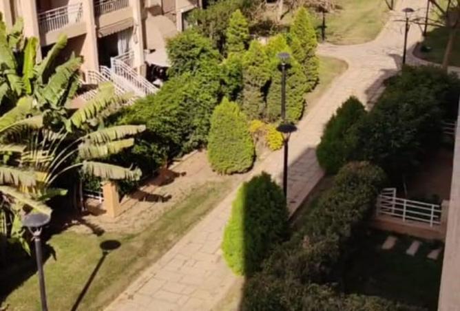 8393686 - الصورة الرئيسية للعقار