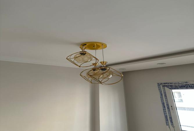 8263396 - Property Image 3