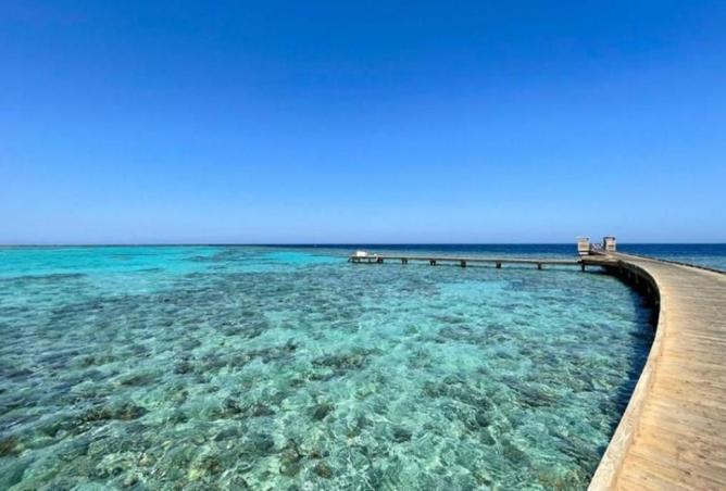 8237356 - صورة العقار 3