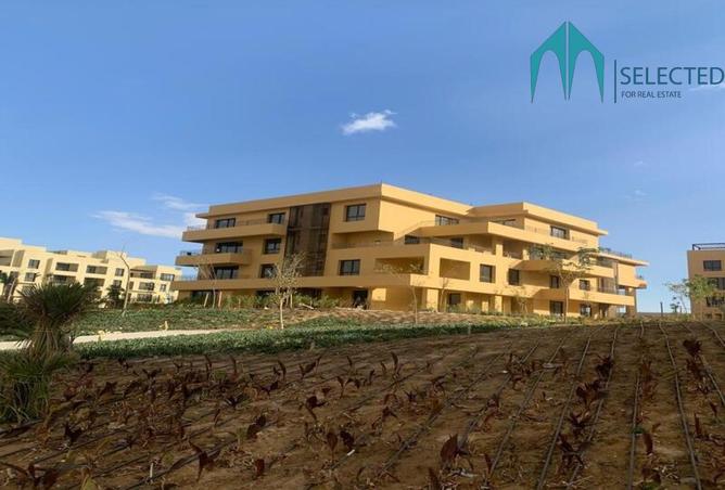 7922591 - الصورة الرئيسية للعقار