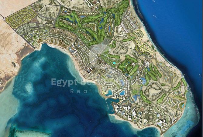 7964893 - صورة العقار 3