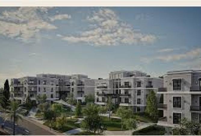 8356759 - Property Image 3