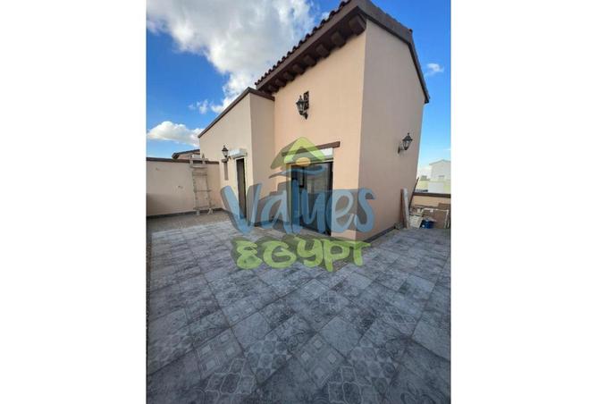 8368788 - Property Image 3