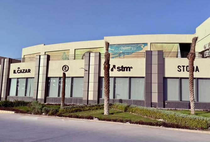 8455067 - Property Image 3