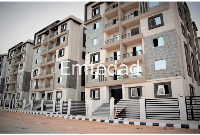 8217553 - Property Image 3