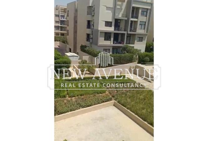 8397667 - Property Image 3