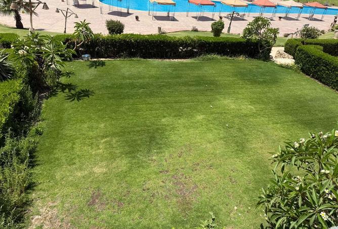 8384205 - صورة العقار 2