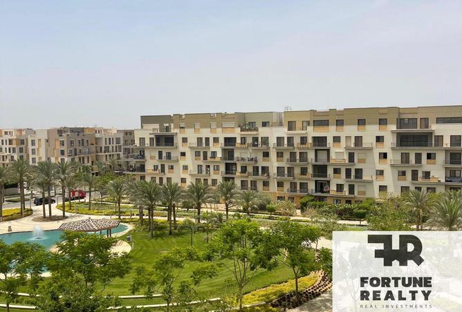 8344117 - Property Image 3