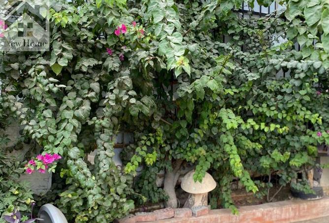 8538370 - الصورة الرئيسية للعقار