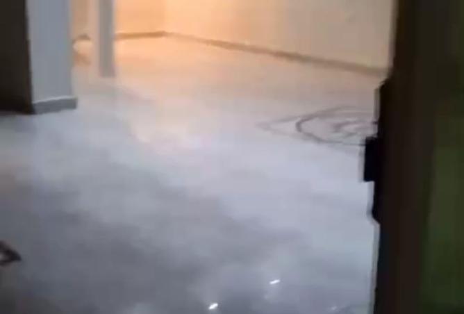 8334894 - Property Image 3