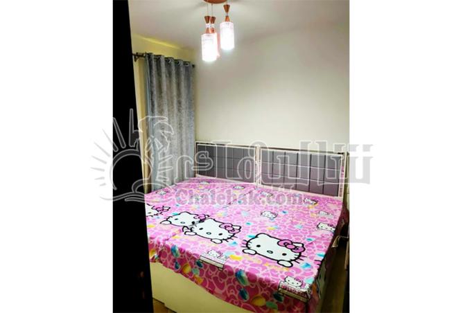 8067871 - Property Image 3