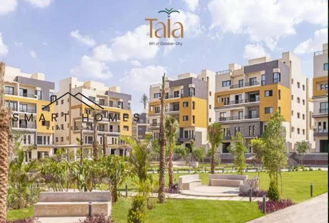7952371 - صورة العقار 3