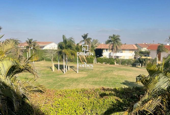 8105444 - صورة العقار 2