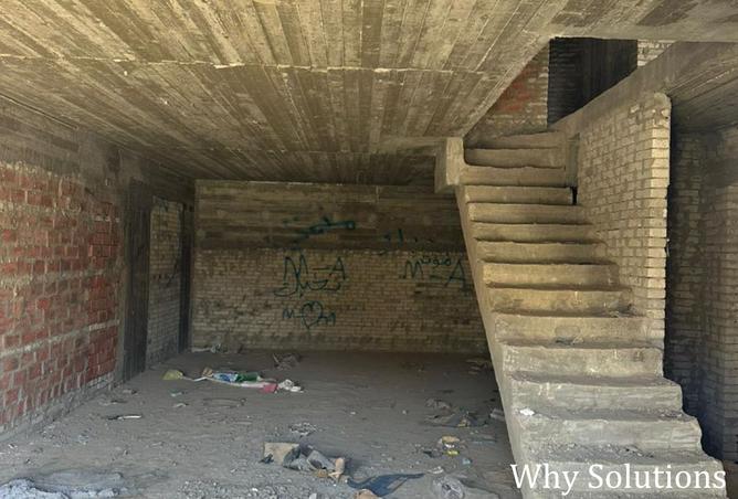 8383528 - Property Image 3