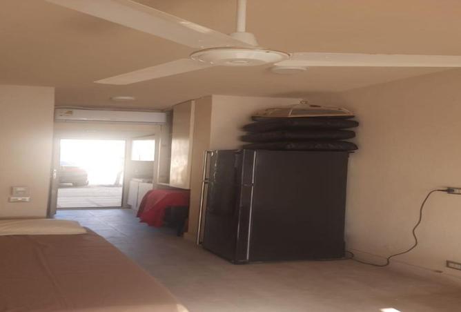 7980097 - Property Image 3