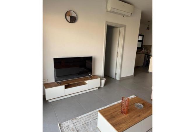 8239642 - Property Image 3