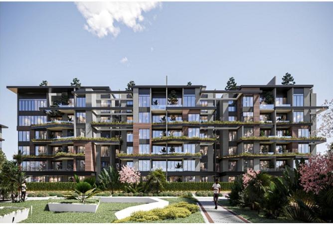 8460852 - Property Image 3