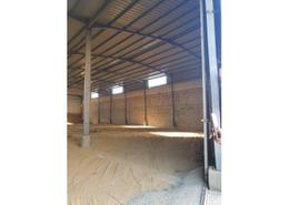 Warehouse for للايجار in Gamaiet Ahmed Orabi - Obour City - Qalyubia