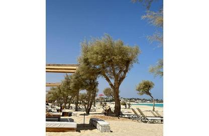 Chalet - 3 Bedrooms - 3 Bathrooms for sale in Marsa Baghush - Qesm Marsa Matrouh - North Coast