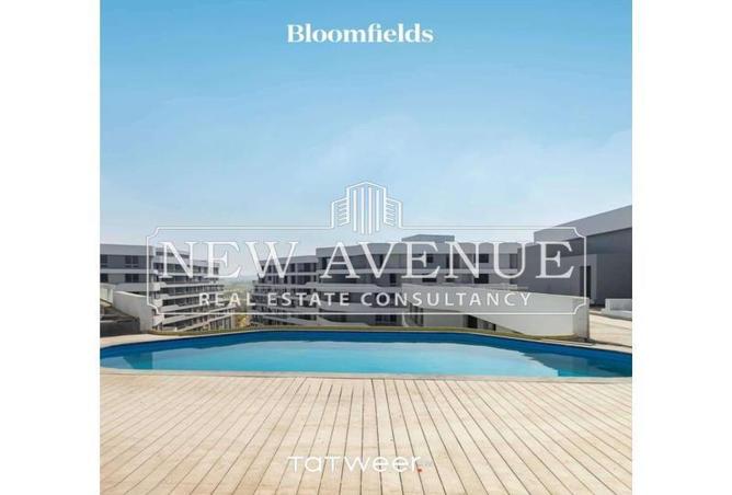 8427645 - صورة العقار 3