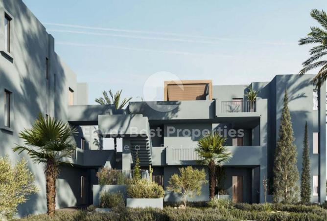 8456969 - Property Image 3