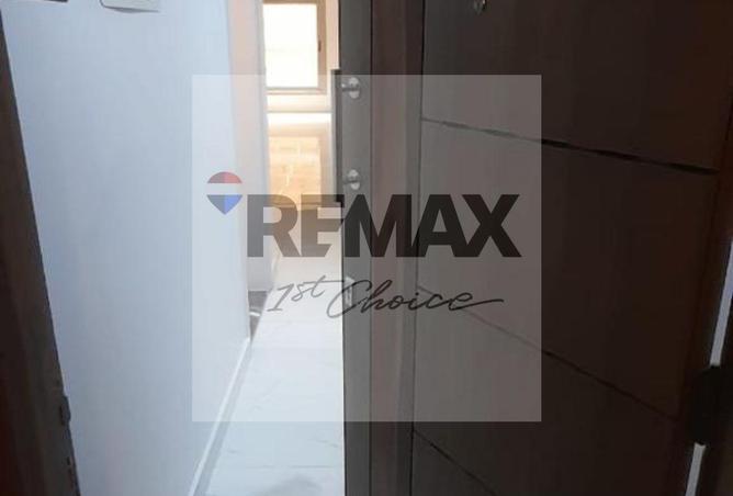 8041087 - Property Image 3