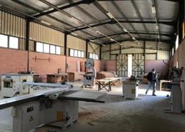 Factory - 2 bathrooms for للبيع in Industrial Road 22 - Industrial Area - 6 October City - Giza
